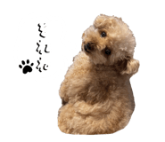 845878471
