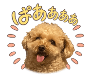 845878480