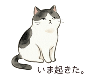 845878628