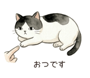 845878636