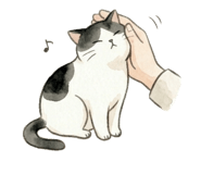 845878663