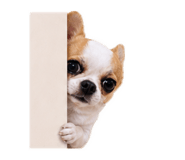 845879861