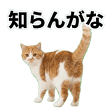 845881812