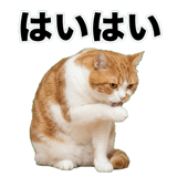 845881813