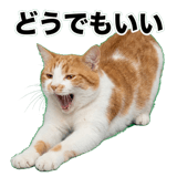 845881816