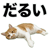 845881818