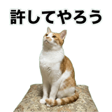 845881821