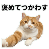 845881822