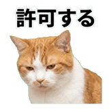 845881824