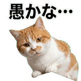 845881830