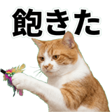 845881832