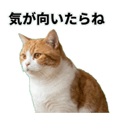 845881835