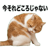 845881836
