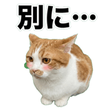 845881837