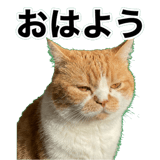 845881841