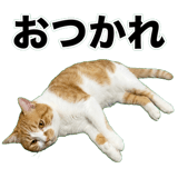 845881843