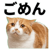 845881847