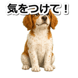 845882334