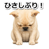 845882415