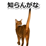 845882460