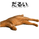 845882466