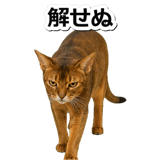 845882474