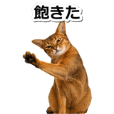 845882480