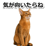 845882483