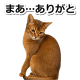 845882486