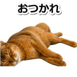 845882491