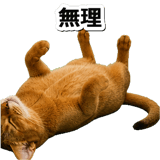 845882496