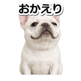 845882505