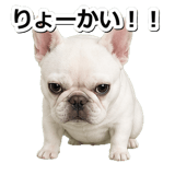845882509