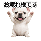 845882520