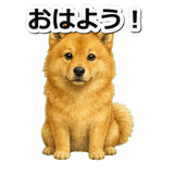 845882545