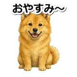 845882546