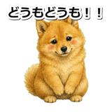 845882547