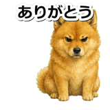 845882549