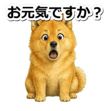 845882550
