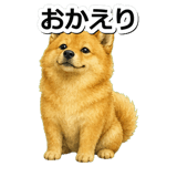 845882553