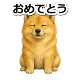 845882555
