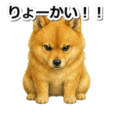 845882557