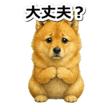 845882561