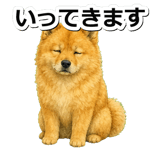 845882566