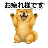 845882568