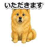 845882575