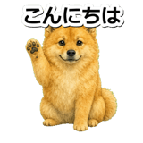 845882577