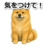 845882582