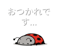 845882587