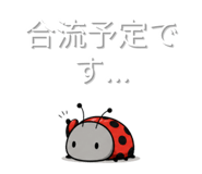 845882592